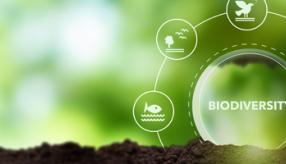 atelier biodiversite